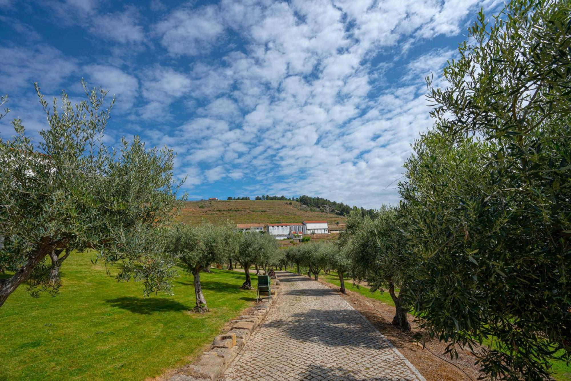 Valonquinta - Agro Hotel & Spa Vila Flor Exterior photo
